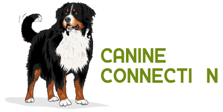The Canine Connection of Fayetteville Arkansas